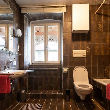 Daire Absteige Innsbruck- Zentrale Ferienapartments İnnsbruck